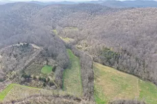 7583 Blue Creek Rd, Jefferson Twp, OH 45684 - Photo 45