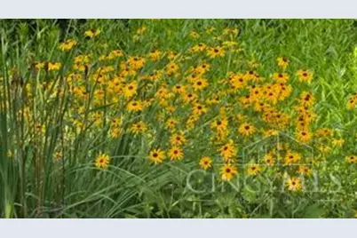 4220 St Cloud Way, Miami Township, OH 45002 - Photo 69