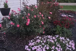 4903 State Route 132, Morrow, OH 45152 - Photo 55