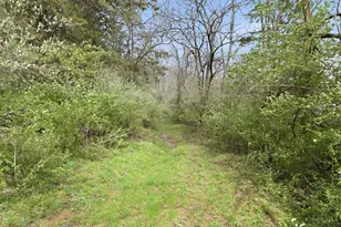 5683 Centerpoint Rd, Pleasant Township, OH 45121 - Photo 67