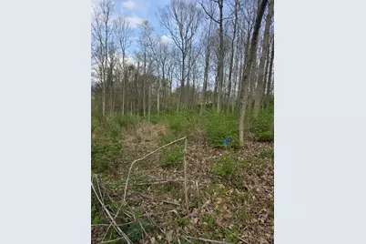 11965 Stone Mill Road, Cincinnati, OH 45251 - Photo 1