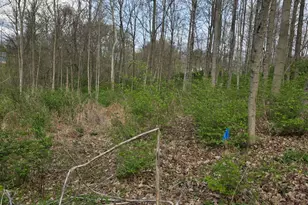 11965 Stone Mill Rd, Cincinnati, OH 45251 - Photo 1