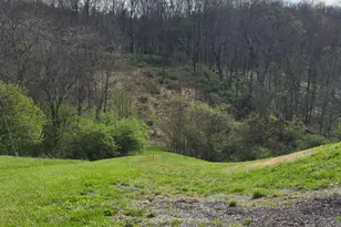 11965 Stone Mill Rd, Cincinnati, OH 45251 - Photo 3