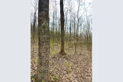 0 Fyffe Hollow, Franklin Twp, OH 45601 - Photo 75