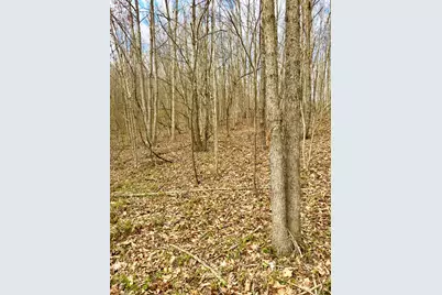 0 Fyffe Hollow, Franklin Twp, OH 45601 - Photo 57