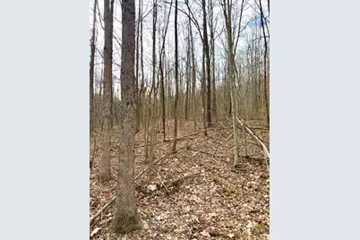 0 Fyffe Hollow, Franklin Twp, OH 45601 - Photo 85