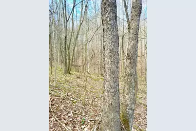 0 Fyffe Hollow, Franklin Twp, OH 45601 - Photo 93