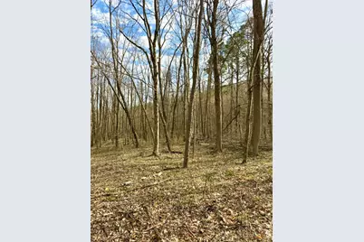 0 Fyffe Hollow, Franklin Twp, OH 45601 - Photo 83