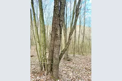 0 Fyffe Hollow, Franklin Twp, OH 45601 - Photo 91