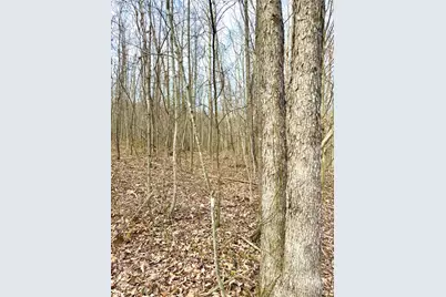 0 Fyffe Hollow, Franklin Twp, OH 45601 - Photo 23