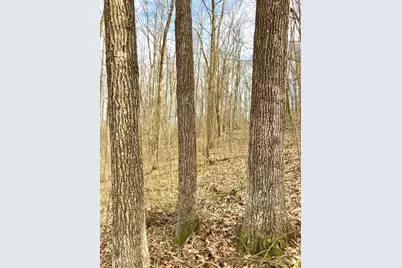 0 Fyffe Hollow, Franklin Twp, OH 45601 - Photo 11