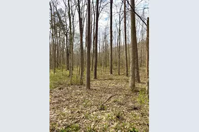 0 Fyffe Hollow, Franklin Twp, OH 45601 - Photo 63