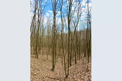 0 Fyffe Hollow, Franklin Twp, OH 45601 - Photo 49