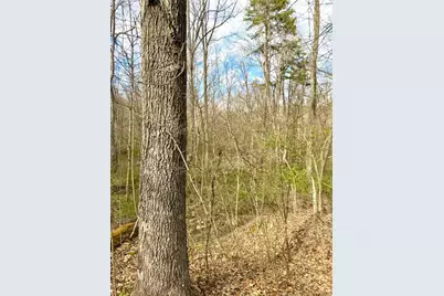 0 Fyffe Hollow, Franklin Twp, OH 45601 - Photo 73
