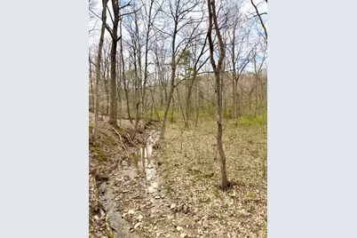 0 Fyffe Hollow, Franklin Twp, OH 45601 - Photo 81