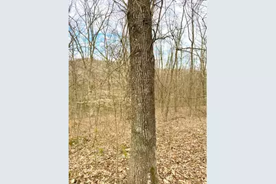 0 Fyffe Hollow, Franklin Twp, OH 45601 - Photo 77