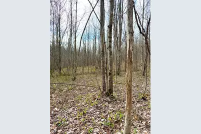 0 Fyffe Hollow, Franklin Twp, OH 45601 - Photo 59