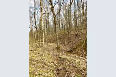 0 Fyffe Hollow, Franklin Twp, OH 45601 - Photo 13