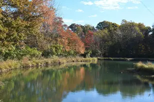 6590 Morrow Rossburg Rd, Salem Township, OH 45152 - Photo 75