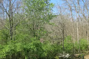 5957 Castlewood, Miami Township, OH 45150 - Photo 35