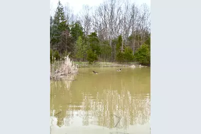 1600 Magee Jones Road, Bratton Township, OH 45660 - Photo 23