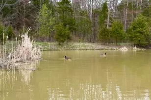 1600 Magee Jones Rd, Bratton Township, OH 45660 - Photo 23