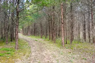 1600 Magee Jones Rd, Bratton Township, OH 45660 - Photo 3