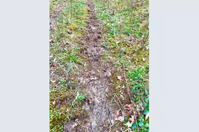 1600 Magee Jones Road, Bratton Township, OH 45660 - Photo 5