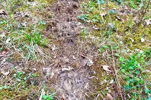 1600 Magee Jones Rd, Bratton Township, OH 45660 - Photo 5