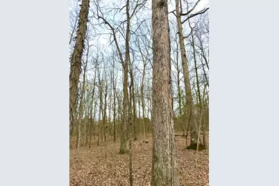 1600 Magee Jones Road, Bratton Township, OH 45660 - Photo 75