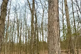 1600 Magee Jones Rd, Bratton Township, OH 45660 - Photo 75