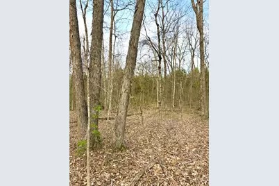 1600 Magee Jones Road, Bratton Township, OH 45660 - Photo 47