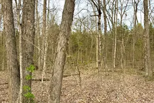 1600 Magee Jones Rd, Bratton Township, OH 45660 - Photo 47