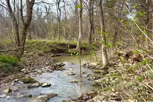 1600 Magee Jones Rd, Bratton Township, OH 45660 - Photo 15