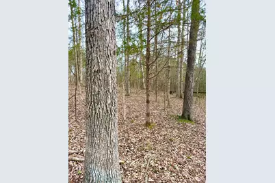 1600 Magee Jones Road, Bratton Township, OH 45660 - Photo 17