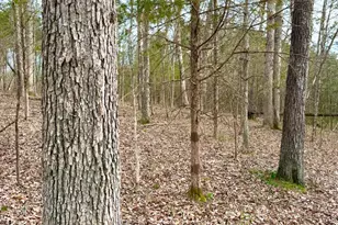 1600 Magee Jones Rd, Bratton Township, OH 45660 - Photo 17