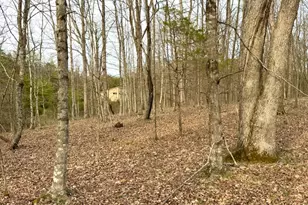 1600 Magee Jones Rd, Bratton Township, OH 45660 - Photo 89