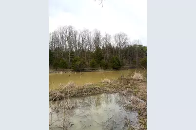 1600 Magee Jones Road, Bratton Township, OH 45660 - Photo 81