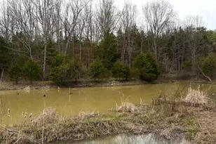 1600 Magee Jones Rd, Bratton Township, OH 45660 - Photo 81