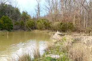 1600 Magee Jones Rd, Bratton Township, OH 45660 - Photo 87