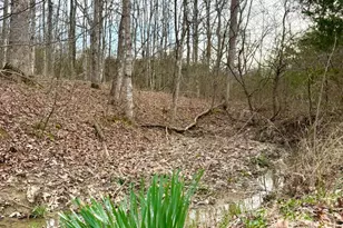 1600 Magee Jones Rd, Bratton Township, OH 45660 - Photo 73