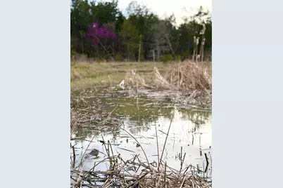 1600 Magee Jones Road, Bratton Township, OH 45660 - Photo 27