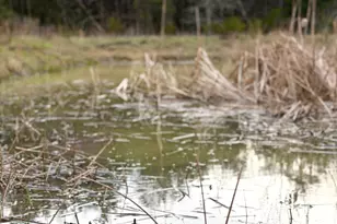 1600 Magee Jones Rd, Bratton Township, OH 45660 - Photo 27