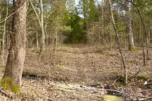 1600 Magee Jones Rd, Bratton Township, OH 45660 - Photo 39