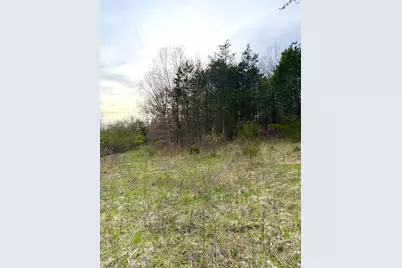 1600 Magee Jones Road, Bratton Township, OH 45660 - Photo 69