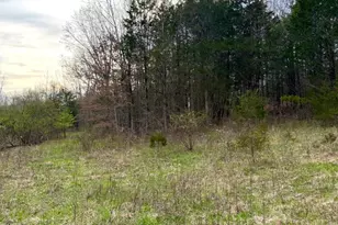 1600 Magee Jones Rd, Bratton Township, OH 45660 - Photo 69