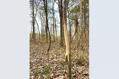 1600 Magee Jones Road, Bratton Township, OH 45660 - Photo 65