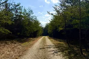 1600 Magee Jones Rd, Bratton Township, OH 45660 - Photo 31