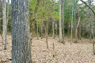 1600 Magee Jones Rd, Bratton Township, OH 45660 - Photo 49