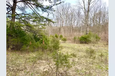 1600 Magee Jones Road, Bratton Township, OH 45660 - Photo 71